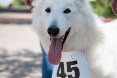 Sponsorenlauf-2022-070